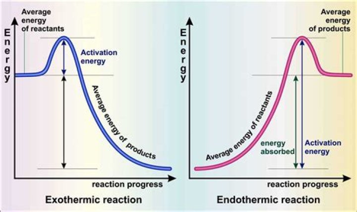 Are elimination reactions endothermic?