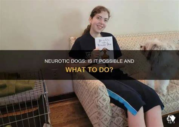 Can dogs be neurotic?