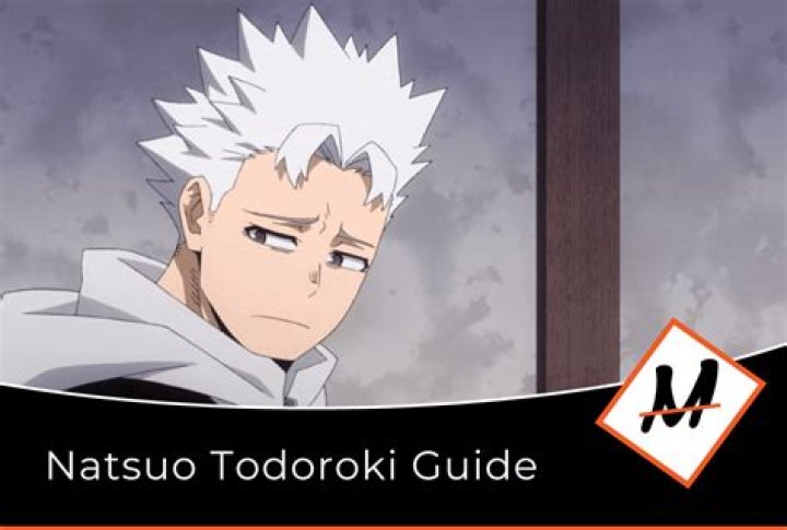 Does natsuo become a novelist?