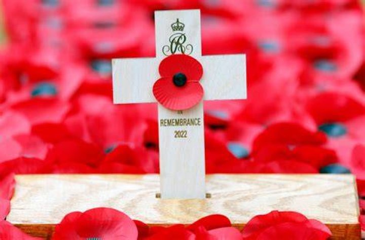 Does the u s celebrate remembrance day?