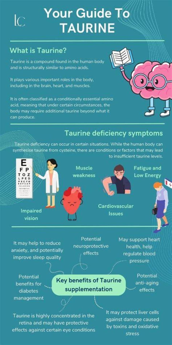 What does taurine do in the body?