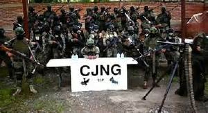 Which cartel controls guanajuato?