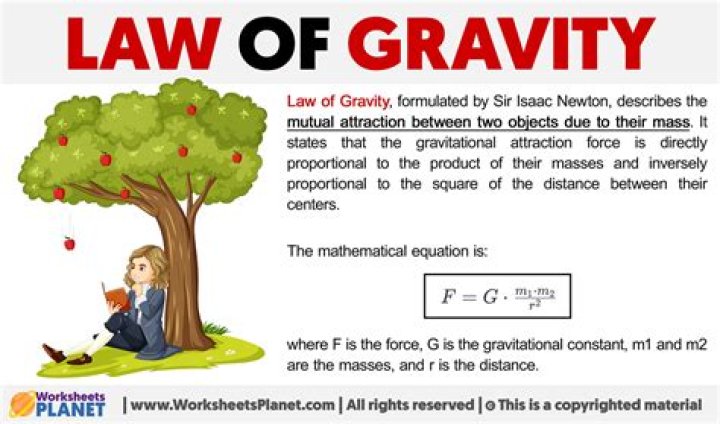 Who formulated the theory on gravity?