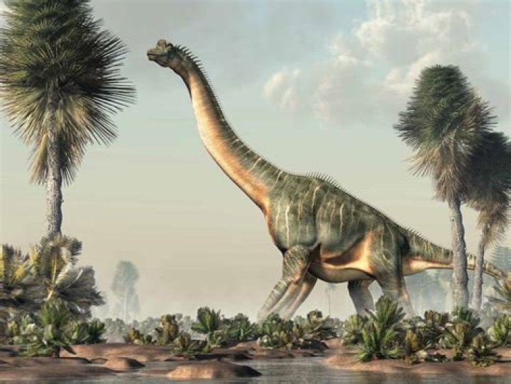 Why were sauropods so big?