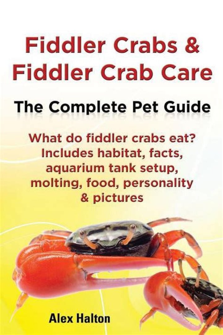 Will fiddler crabs eat snails?